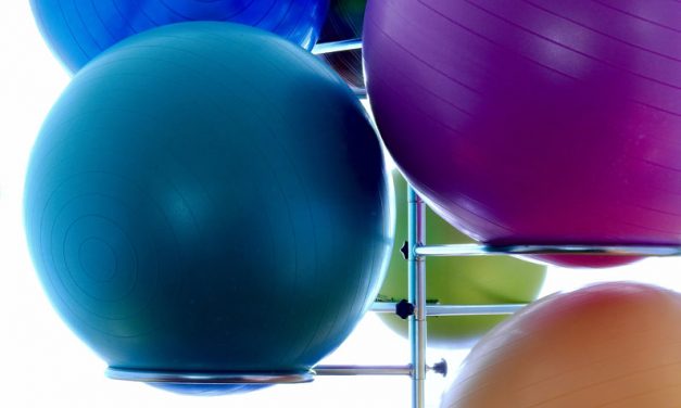 Stability Ball or Exercise Ball Review