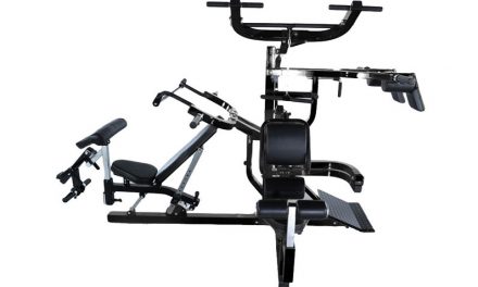 Powertec Workbench Multi System Review