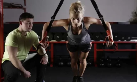 Best Suspension Trainers